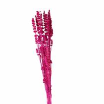 Rubi Pink Desidratado Rubi Pink Desidratado