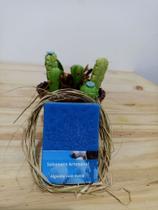 Sabonete Artesanal em Barra 120g - Algodão Esfoliante Sabonete Artesanal em Barra 120g - Algodão Esfoliante