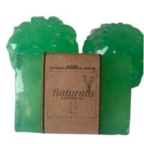 Sabonete de Babosa (Aloe Vera) - Rosto reduz (Acne, Espinha, Manchas, Hidrata, Esfolia, Melasma) Sabonete de Babosa (Aloe Vera) - Rosto reduz (Acne, Espinha, Manchas, Hidrata, Esfolia, Melasma)