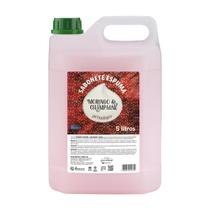 Sabonete Espuma Deoline 5L Morango Champagne Galão Premisse Mãos Corpo Profissional