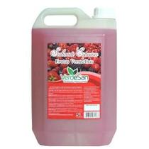 Sabonete Espuma Frutas Vermelhas Verdesan 5 Litros