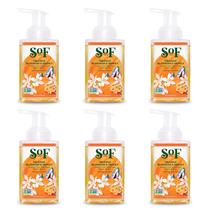 Sabonete espumante para mãos do sul da França SoF Hydrating 240 mL x6
