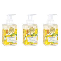 Sabonete espumante para mãos Michel Design Works, limão e manjericão, 500 ml, pacote com 3 Sabonete espumante para mãos Michel Design Works, limão e manjericão, 500 ml, pacote com 3
