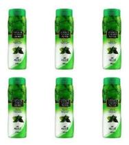 Sabonete Feminino Menta 210Ml Kit 6Un - Apinil - Aroeira