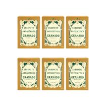 Sabonete Granado 90g Antisseptico Tradicional-Kit C/6un