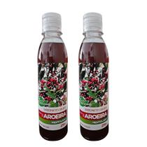 Sabonete Líquido Essência de Aroeira Mentolado 270mL - Refrescância e Equilíbrio - Aroeira Cosmética