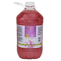 Sabonete Líquido Flor de Cerejeira Katy 2L Sabonete Líquido Flor de Cerejeira Katy 2L