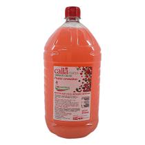Sabonete Líquido Frutas Vermelhas Callamarys 2 Litros Sabonete Líquido Frutas Vermelhas Callamarys 2 Litros