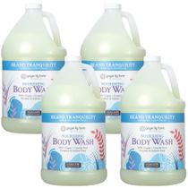 Sabonete líquido Ginger Lily Farms Nourishing 3.78 L Island Tranquility Sabonete líquido Ginger Lily Farms Nourishing 3.78 L Island Tranquility