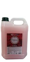Sabonete líquido morango champagne 5 l premisse Sabonete líquido morango champagne 5 l premisse