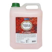 Sabonete Líquido Morango e Champanhe 5l - Deoline Sabonete Líquido Morango e Champanhe 5l - Deoline