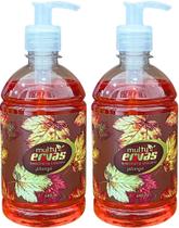 SABONETE LIQUIDO MULTI ERVAS PITANGA 480ml DEMAZON 2un