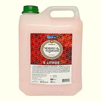 Sabonete Liquido Premisse Morango e Champagne Ph Fisiológico 5 Litros