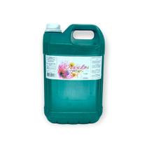 Sabonete liquido wash gengibre galao 5l casa limpa