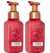 Sabonete para mãos Bath & Body Works Gentle Foaming 259 ml, pacote com 2 Sabonete para mãos Bath & Body Works Gentle Foaming 259 ml, pacote com 2
