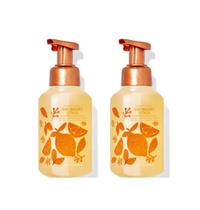 Sabonete para mãos Bath & Body Works, lavado ao sol, citrinos, 500 ml, pacote com 2 unidades