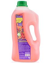 Sabonete Premisse Guaraná e Açai 2,5l Sabonete Premisse Guaraná e Açai 2,5l