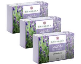 Sabonetes Vegetais de Lavanda e Rosa Mosqueta 100g Kit com 3 - P&M