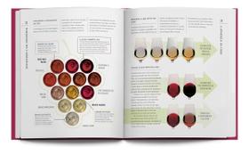 Sabores do Vinho - Da Uva à Taça