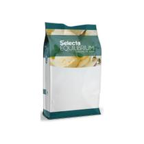 Saborizante Sorvete Equilibrium Base Zero para Leite 800gr