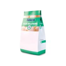 Saborizante Sorvete Selecta Plus Mousse de Maracujá 700g