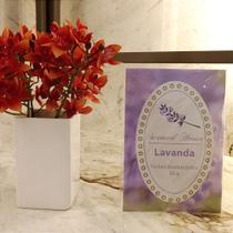 Sachê Cabide Envelope Grande 20 g- lavanda