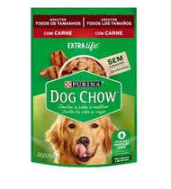 Sache dog xhow