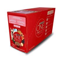 SACHÊ ONE PARA CÃO SUPERFOODS VISIBLE NUTRITION 1 Unidade
