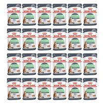 Sachê Royal Canin Care Digestive Para Gatos 85G Kit 24Uni Sachê Royal Canin Care Digestive Para Gatos 85G Kit 24Uni