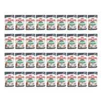 Sachê Royal Canin Care Digestive Para Gatos 85G Kit 36Uni Sachê Royal Canin Care Digestive Para Gatos 85G Kit 36Uni