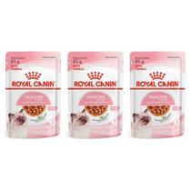 Sachê Royal Canin Kitten Alimento Úmido para Gato Filhote Caixa com 3 Sachês Sachê Royal Canin Kitten Alimento Úmido para Gato Filhote Caixa com 3 Sachês