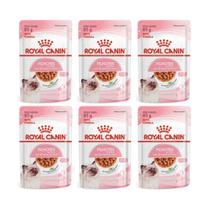Sachê Royal Canin Kitten Alimento Úmido para Gato Filhote Caixa com 6 Sachês
