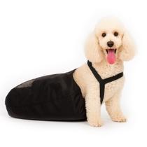 Saco De Arrasto Cachorro Protetor Deficiente Paraplégico M Pet Best Soluções Saco De Arrasto Cachorro Protetor Deficiente Paraplégico M Pet Best Soluções