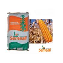 Saco de Semente De Milho 02kg Semeali Xb 8018 p/ Plantio Fazenda Agro Plantações