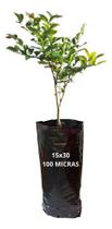 Saco Saquinho Plástico Para Mudas 15x30cm Com 1000 Unidades Saco Saquinho Plástico Para Mudas 15x30cm Com 1000 Unidades