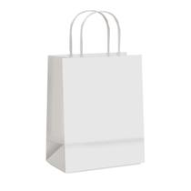 Sacola de papel branco M 26x19,5x9,5cm Cromus com 10 unidades