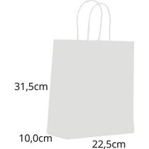 Sacola para Presente Lisa Branca M 22,5X31,5X10CM Pacote com 10