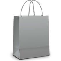 Sacola para Presente Lisa Prata 26X19,5X9,5CM - Pacote com 10 Unidades