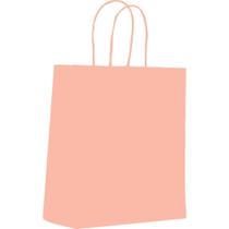 Sacola para Presente Lisa Rosa Bebe PP 14,5X16X8CM Pacote com 10