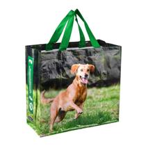 Sacola Reutilizável Cachorro Caramelo 39x18x35cm Bompack