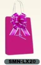 Sacolas Coloridas Média + Laço Luxo Para Presente e Embalagem 10 Unidades