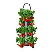 Sacos de cultivo suspensos SHZONS para tomate, pimenta, erva e morango