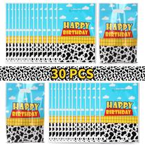 Sacos de presente XSIUOTIS Cartoon Story Birthday Party 30 unidades