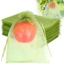 Sacos de Proteção para Frutas HRX Pacote 17x23cm 100 unidades Verde Sacos de Proteção para Frutas HRX Pacote 17x23cm 100 unidades Verde