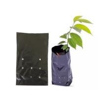 Sacos Para Muda 25x25cm Kit Com 50 Unidades Resistentes