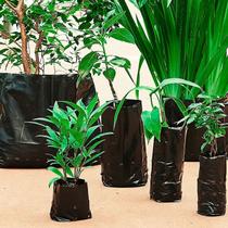 Sacos Para Mudas Preto - Medida - 15X20X0,13cm Pacote 250 Unidades