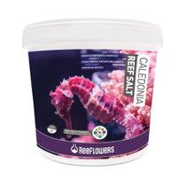 Sal Reeflowers Caledonia Reef Salt 6,5 KG Sal Reeflowers Caledonia Reef Salt 6,5 KG