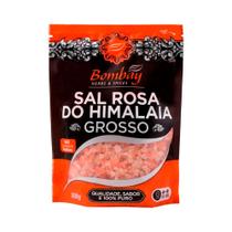 Sal Rosa do Himalaia Grosso Bombay 500g Sal Rosa do Himalaia Grosso Bombay 500g