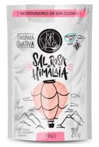 Sal Rosa Do Himalaia Iodado Fino Br Spices Sachê 250g Sal Rosa Do Himalaia Iodado Fino Br Spices Sachê 250g