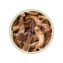 Salsaparrilha 100g Salsaparrilha 100g